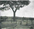 Cemetery
